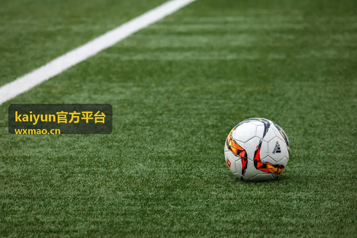 kaiyun官方平台安装过程与权限授予示意图